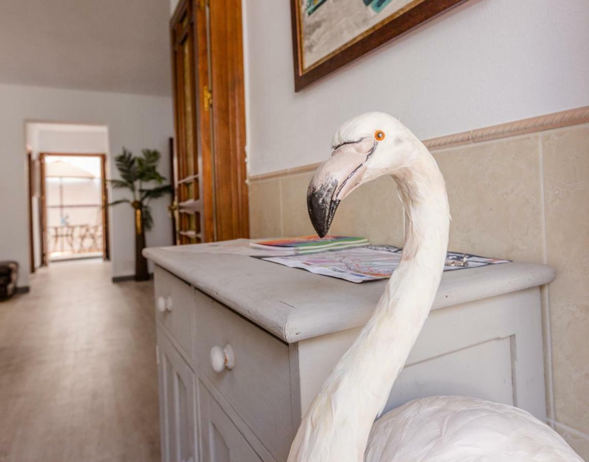 Alhaurin Old Town, Casa Flamingo, 2 Bed Apartment Alhaurin el Grande Ngoại thất bức ảnh